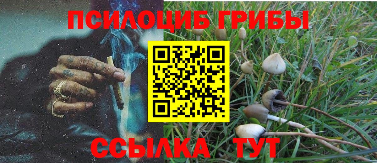 Галлюциногенные грибы мухоморы Петрозаводск